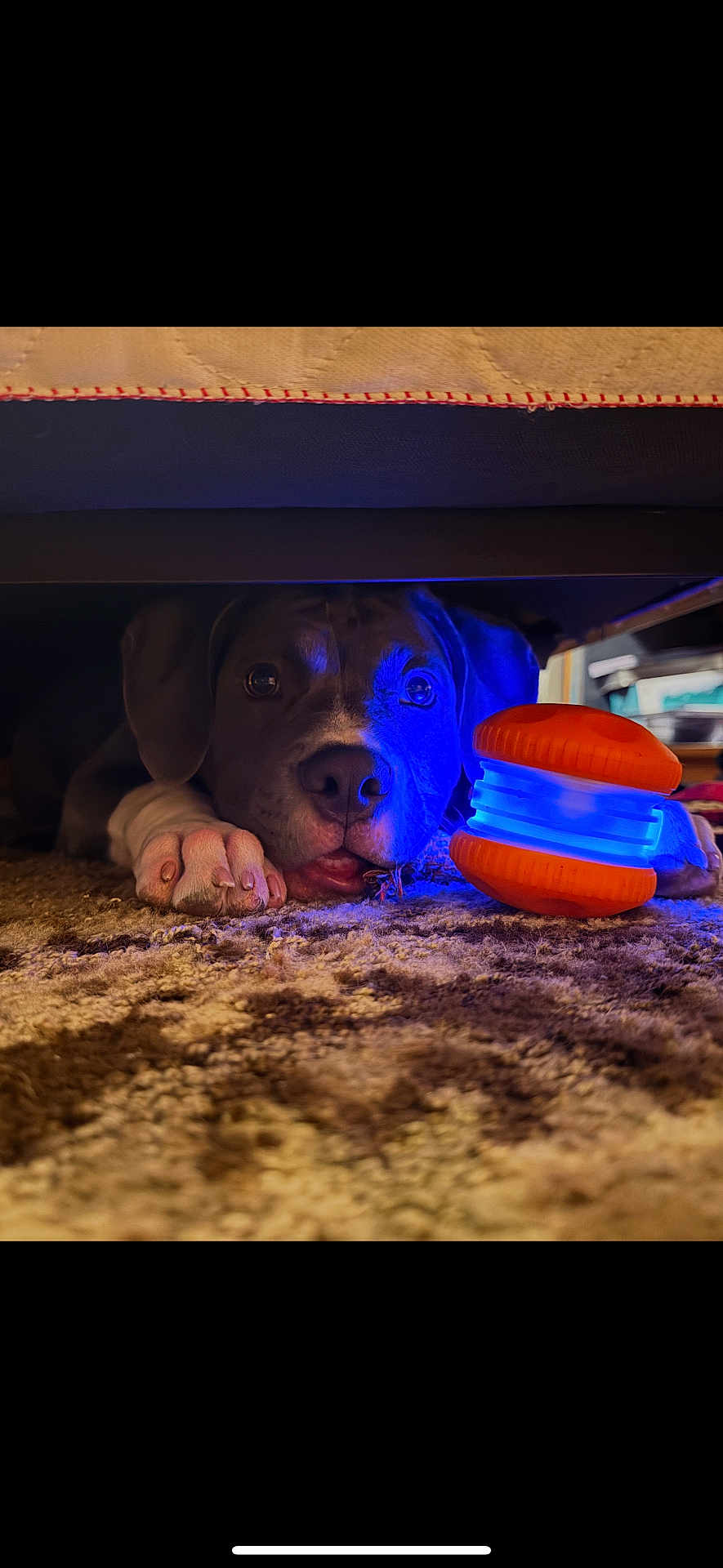 Tank