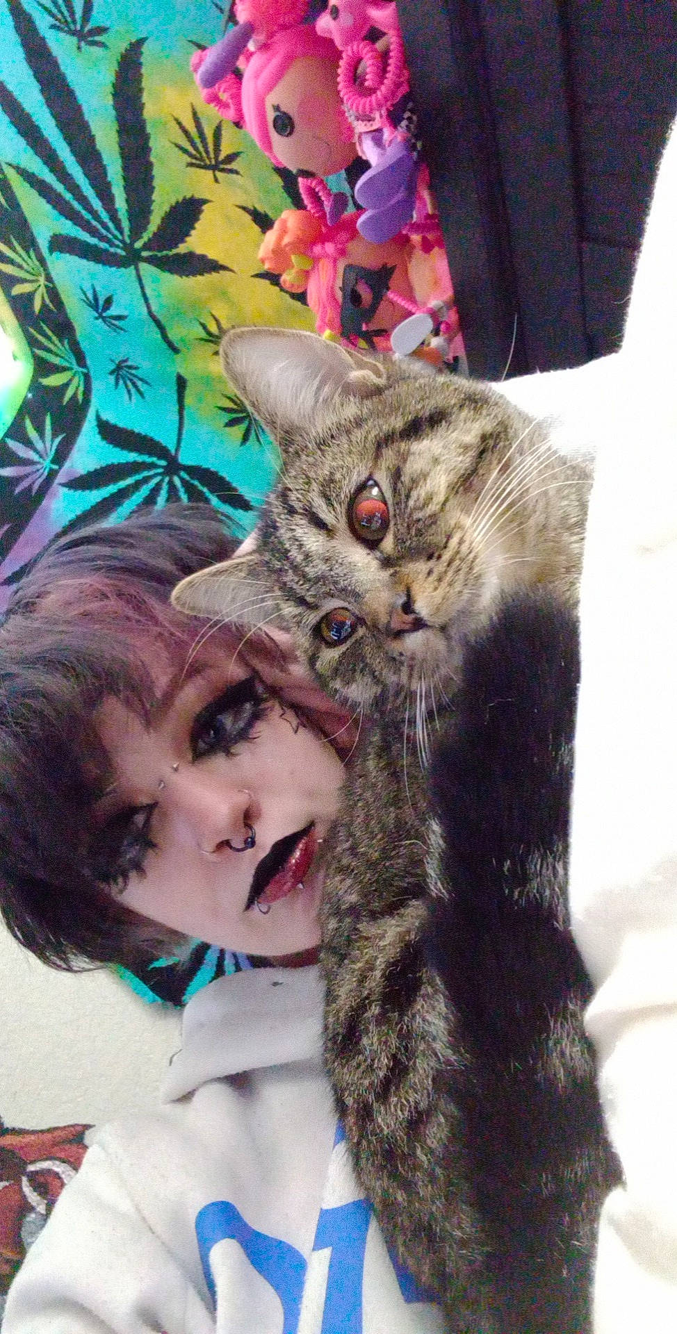 Mazikeen is registered to the contest to win money with this photo: carnivore, cat, child, claw, domestic_short_haired_cat, fawn, felidae, fur, gesture, happy, hug, pattern, paw, photo_caption, plant, selfie, small_to_medium_sized_cats, snout, tail, whiskers