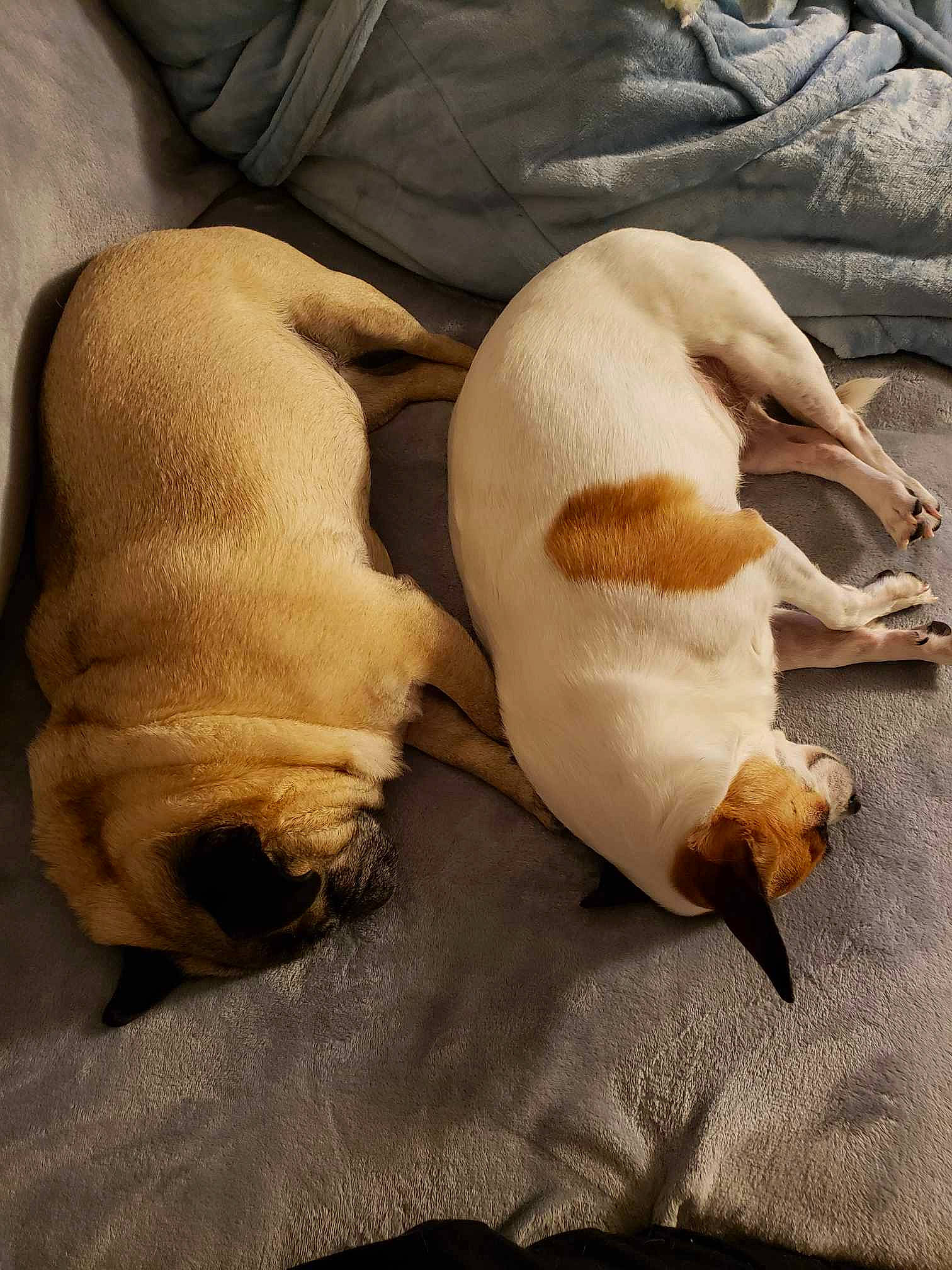 Precious And Queenie