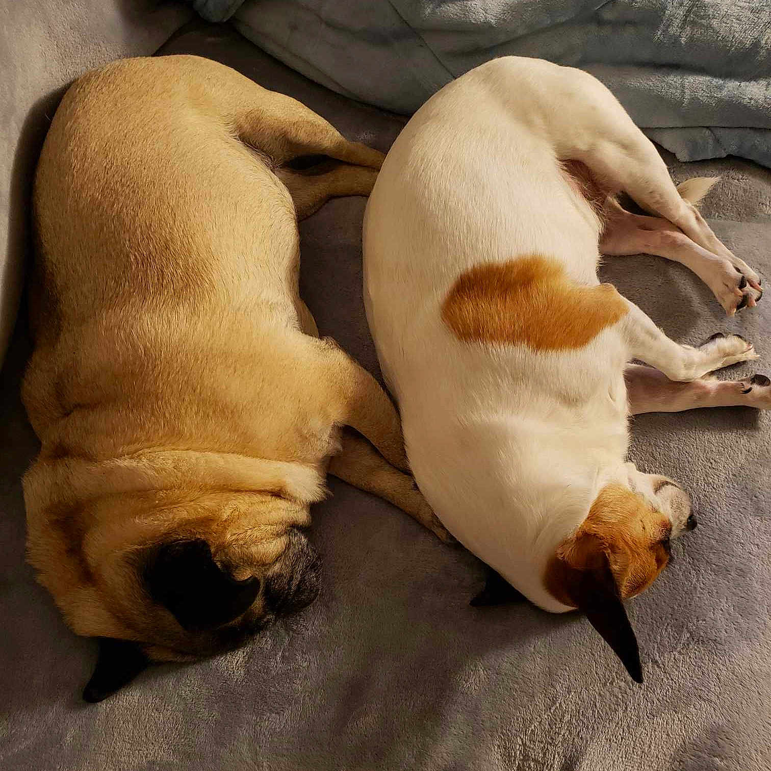 Precious And Queenie