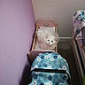 animal, baby_stroller, bed, blue, cat, doll_bed, floral, fluffy, fur, indoor, kitten, nursery, pastel, pet, pink, portrait, room, sitting, stroller, white_cat