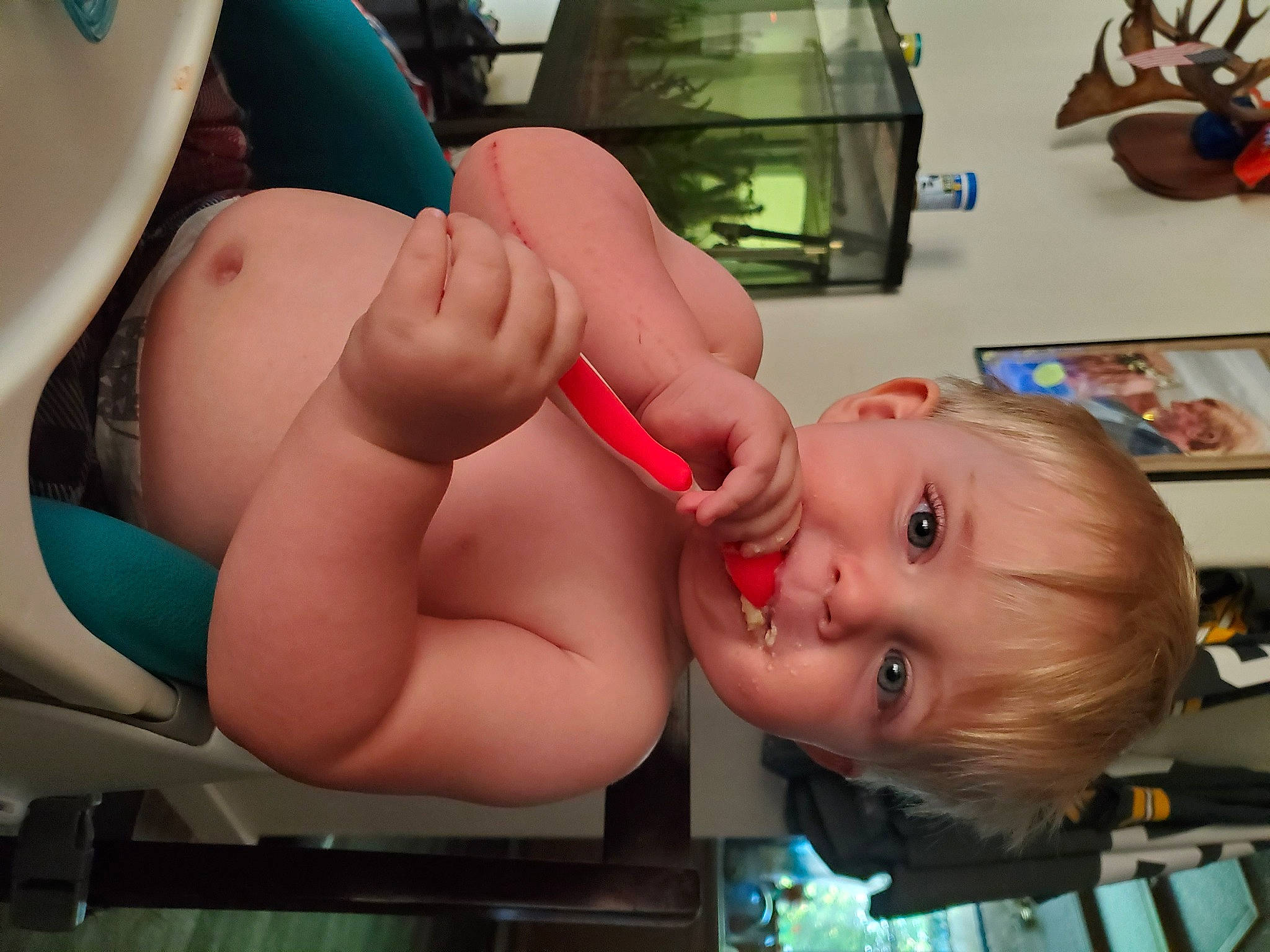 Konner is registered to the contest to win money with this photo: abdomen, arm, baby, birth, cheek, chest, child, ear, finger, hand, head, lip, mouth, muscle, neck, nose, person, thumb, toddler, trunk