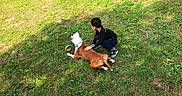 Ghost is registered to the contest to win money with this photo: child, dog, grass, outdoors, park, pet, animal, brown_dog, white_dog, kneeling, playing, ball, sports_ball, friendship, nature, lawn, sunlight, casual_clothing, sneakers, backyard