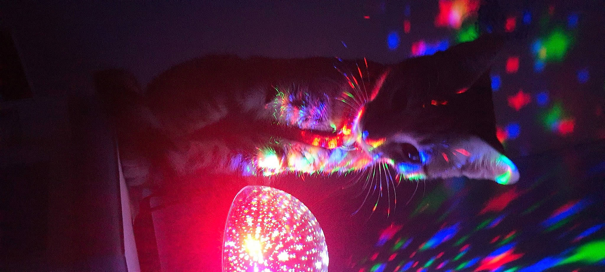 Tanjiro a rejoint le concours — aidez-le/la à gagner de superbes lots ! automotive_lighting, electric_blue, electricity, entertainment, event, fun, lens_flare, magenta, midnight, music, performing_arts, plant, purple, sky, technology, tree, visual_effect_lighting, water, wheel, window