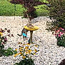 animal, backyard, birdbath, cat, curious_cat, daylight, flower_bed, flowers, garden, gray_cat, greenery, nature, outdoor, pebbles, plants, shrub, summer, tree, wildlife, yellow_birdbath