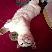 Hugo participe au concours pour gagner de l'argent avec cette photo :