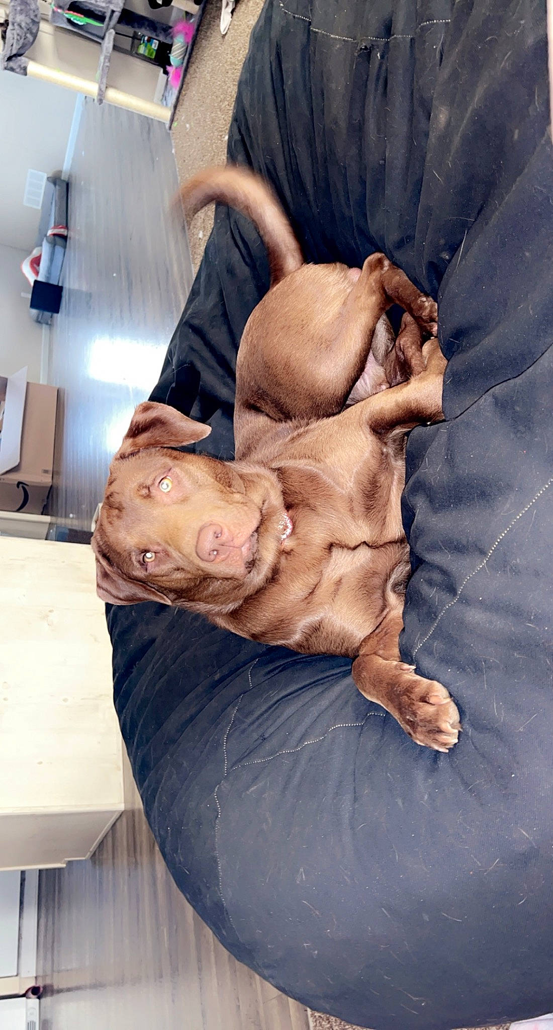 Legend is registered to the contest to win money with this photo: abdomen, art, artifact, barechested, barefoot, chest, comfort, elbow, flesh, foot, gesture, human_body, human_leg, jaw, knee, thigh, trunk, wood, wrinkle, wrist