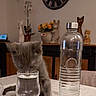 Balou participe au concours pour gagner de l'argent avec cette photo : kitten, cat, glass, water, bottle, table, indoor, decor, clock, figurine, flower, curious, pet, furniture, drink, domestic, animal, grey, cute, tablecloth