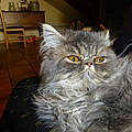 Martine F.