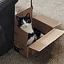 amazon_box, animal, black_and_white, box_flaps, cardboard_box, carpet, cat, cozy, curious, ears, feline, floor, furniture, home, indoor, looking, pet, relaxed, sitting, whiskers