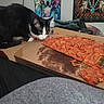 Frankie is registered to the contest to win money with this photo: animal, black_and_white_cat, blanket, cardboard_box, cat, colorful_painting, cozy, curiosity, curious_cat, feline, food, home, indoor, pepperoni, pet, pizza, room, sniffing, table, wall_art