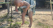 Kayden is registered to the contest to win money with this photo: child, baby, swing, sleeping, outdoor, yard, fence, diaper, sunlight, shadow, grass, dirt, playground, resting, seat, summer, relaxed, toddler, empty_feet, nature
