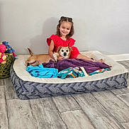 Rocky joined the competition — help win amazing prizes! child, dog, pet_bed, blanket, toy, floor, wall, smile, indoor, red_dress, small_dog, cuddle, happy, hair_tied, wooden_floor, cozy, playful, young_girl, domestic, relaxed