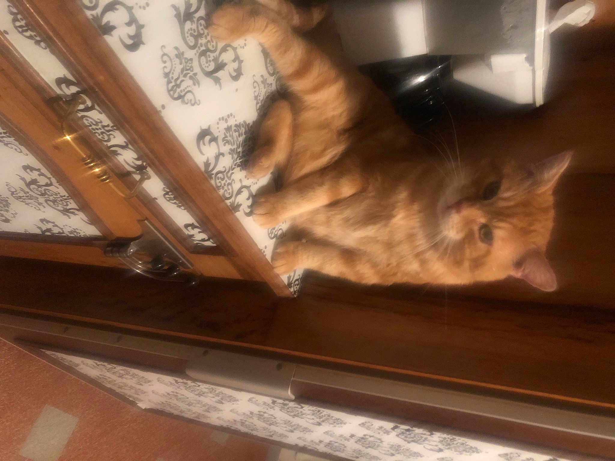 Garfield