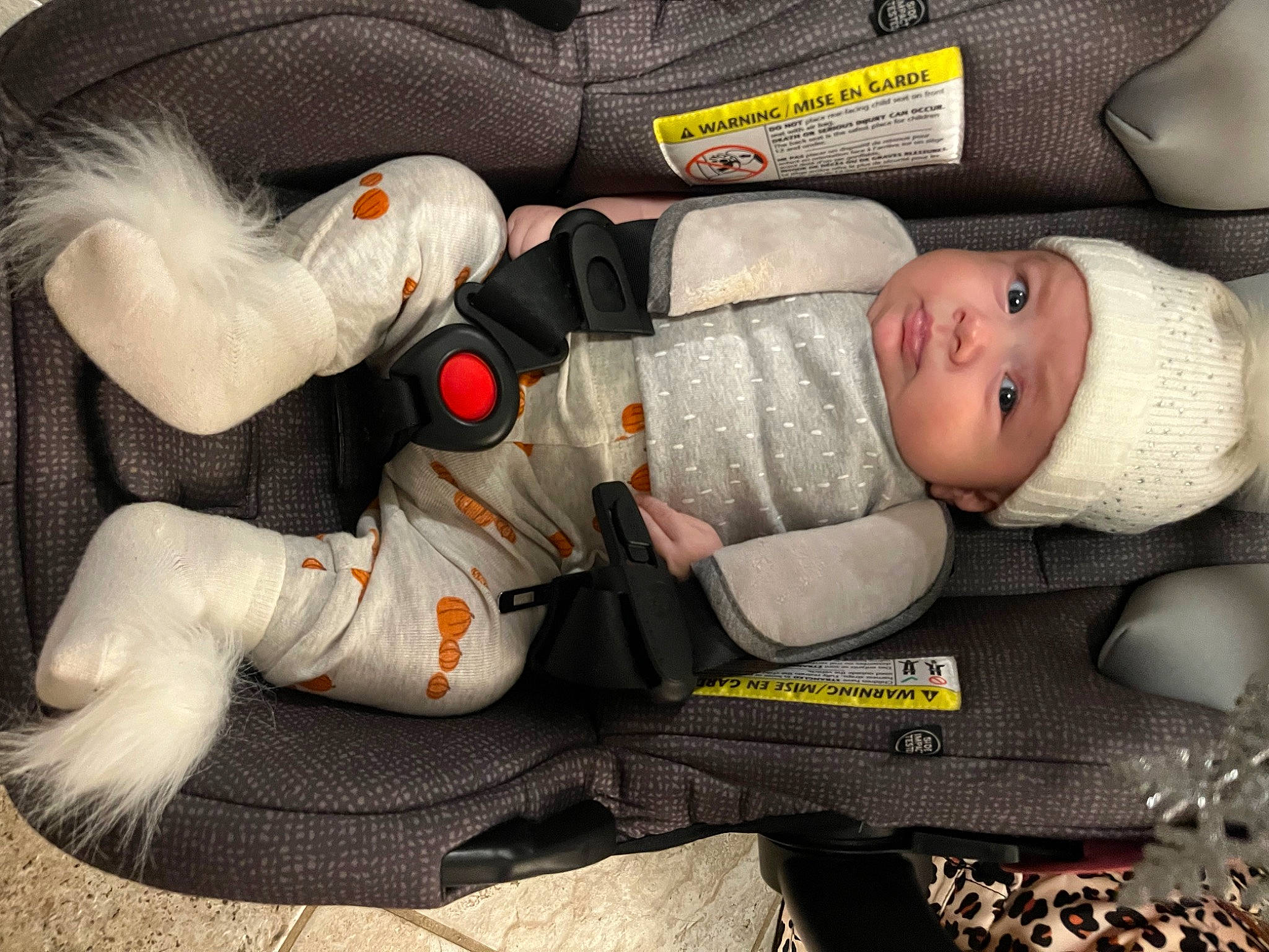 Clara joined the competition — help win amazing prizes! auto_part, baby, baby_carriage, baby_products, baby_safety, baby_sleeping, baby_toddler_clothing, bag, car_seat, carmine, child, comfort, glove, headwear, human_body, lap, nap, person, personal_protective_equipment, sports_gear