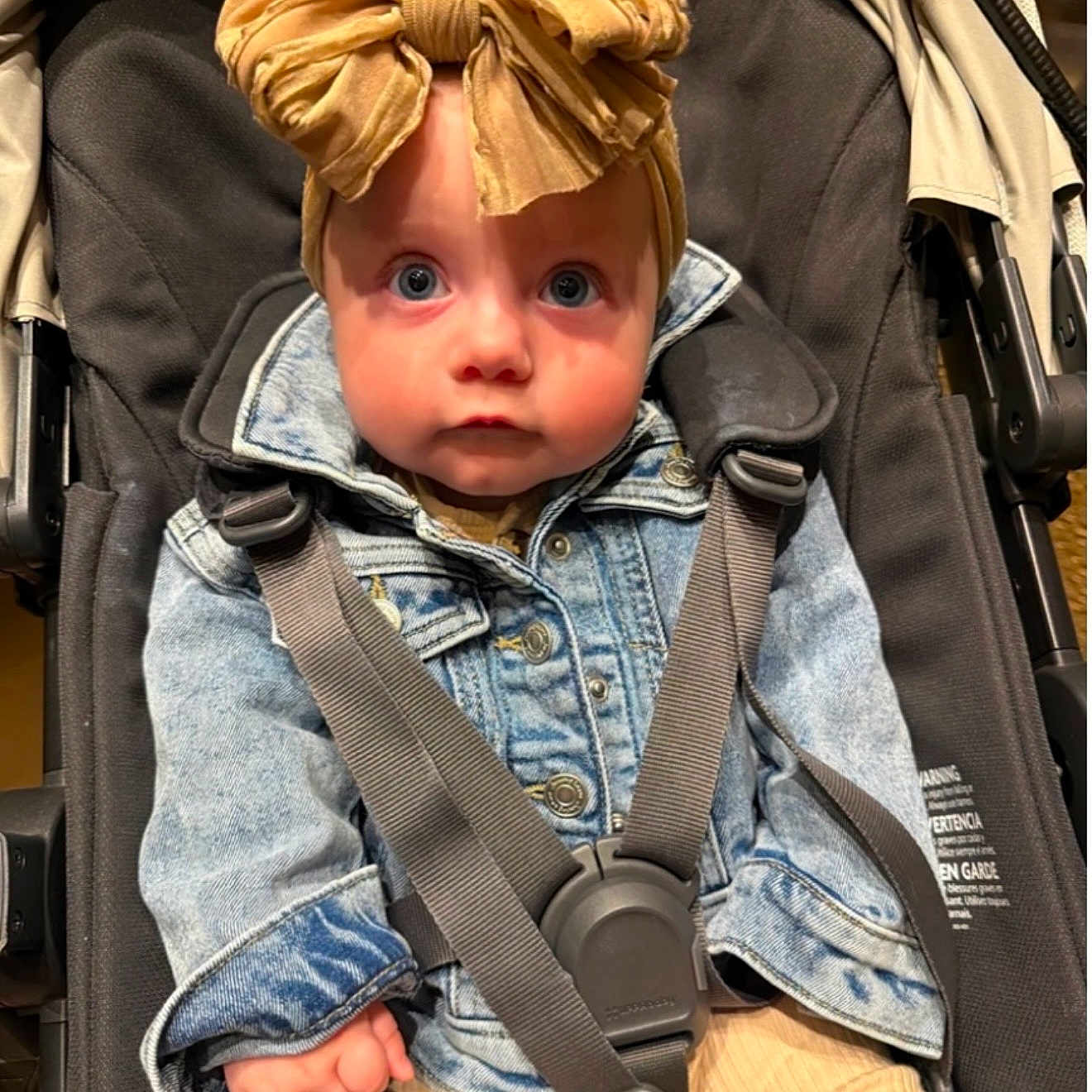 Alera joined the competition — help win amazing prizes! baby, blue_eyes, bow_headband, casual_wear, child, clothing, curious, cute, denim_jacket, face, fashion, headwear, indoors, infant, person, portrait, seated, straps, stroller, young_child