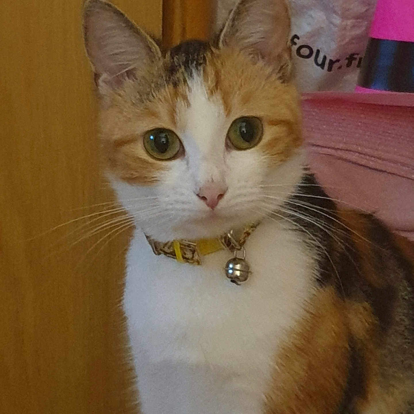 Chouquette
