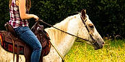 Pepito participe au concours pour gagner de l'argent avec cette photo :