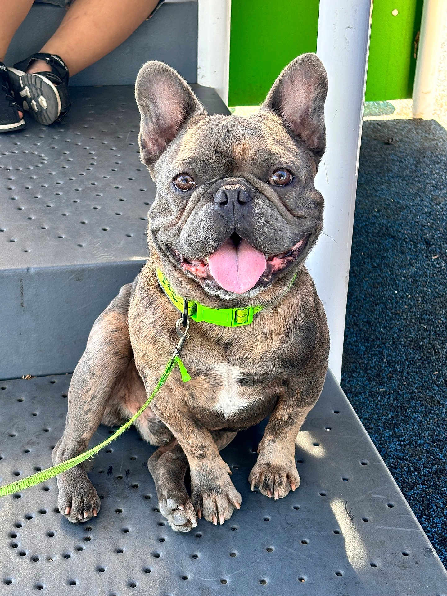 Gordo