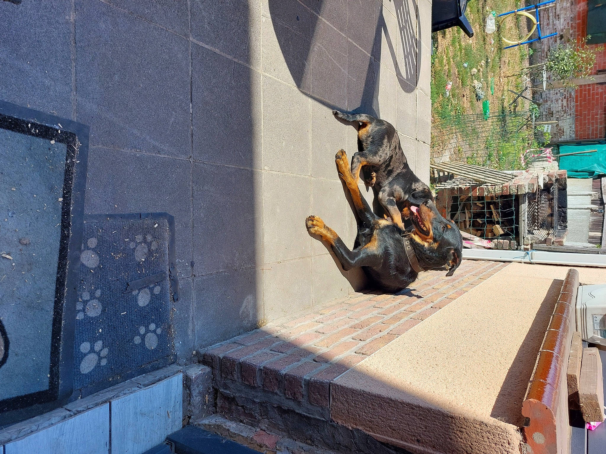 Queen participe au concours pour gagner de l'argent avec cette photo : art, asphalt, brick, bronze_sculpture, city, concrete, facade, fictional_character, flooring, machine, metal, monument, road, road_surface, sculpture, sidewalk, sitting, street, visual_arts, wood