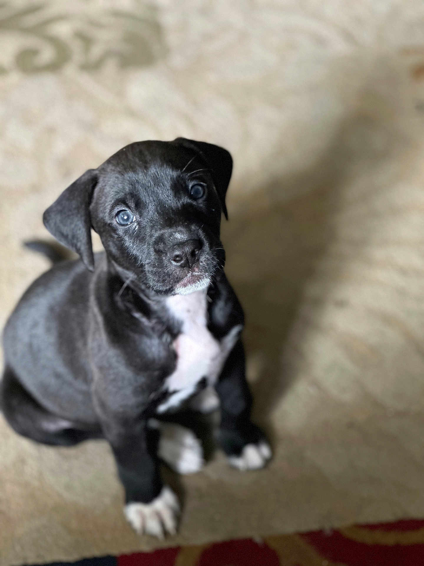 Ares