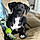 Ares
