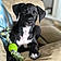 Ares