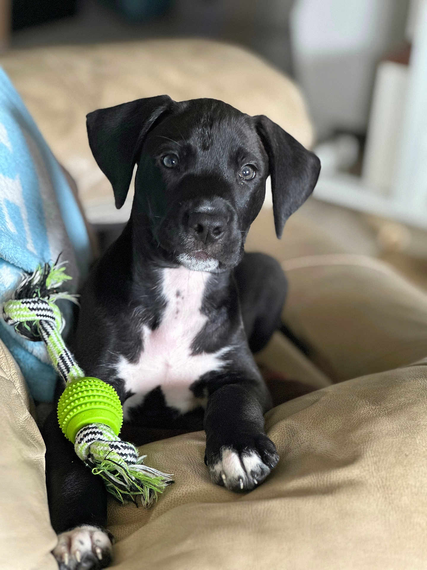Ares