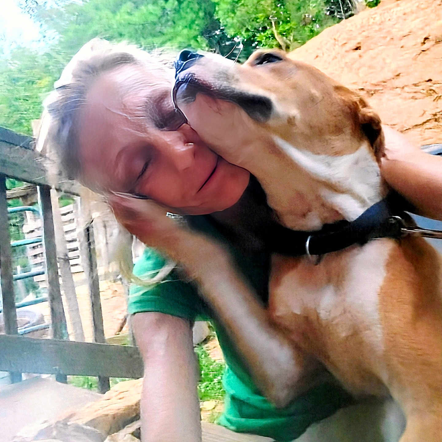 One joined the competition — help win amazing prizes! adult, animal, canine, clothing, dog, face, head, hound, male, man, person, pet, photography, plant, portrait, puppy, shorts, summer, tree, vegetation