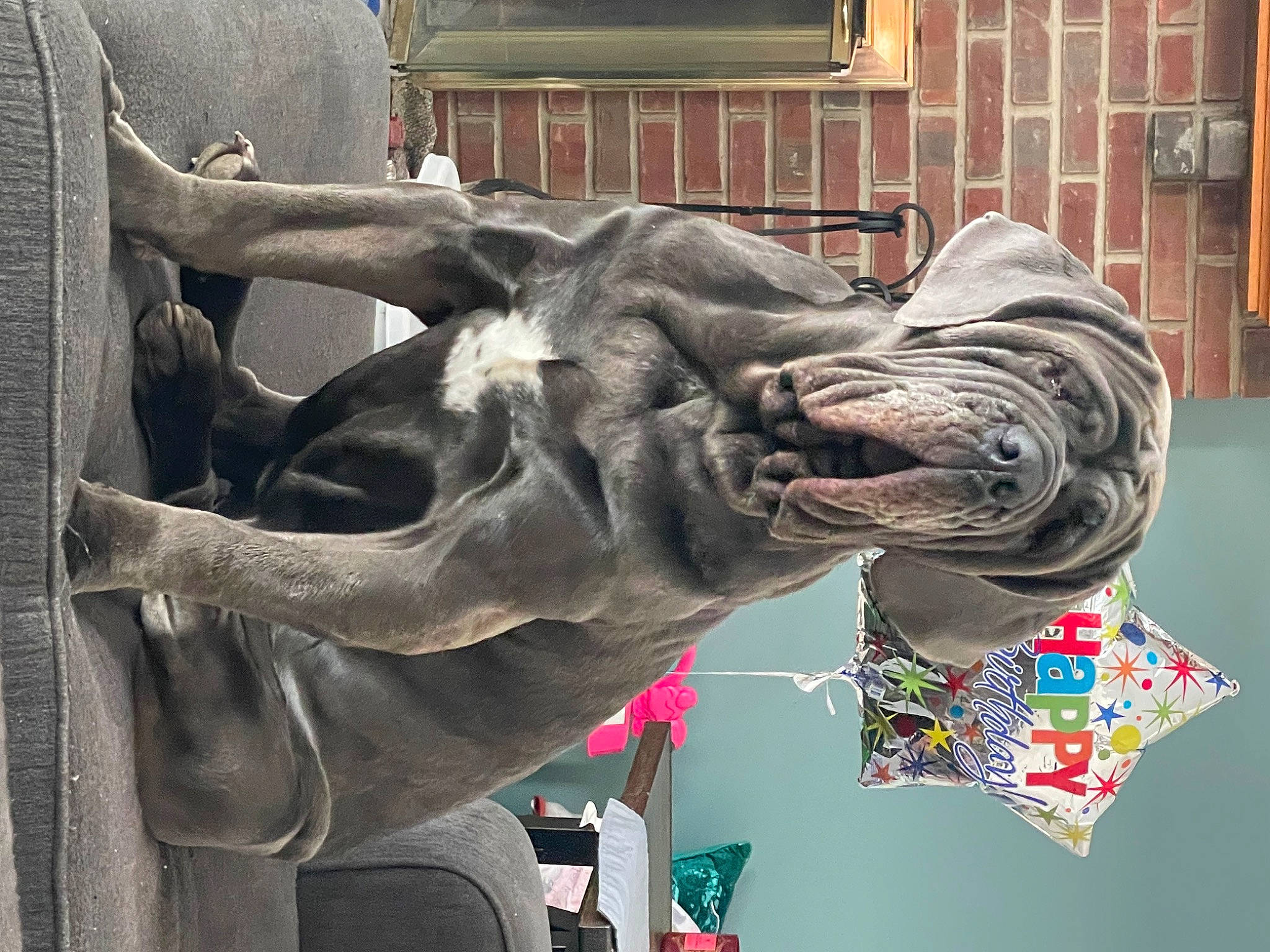 Zoe joined the competition — help win amazing prizes! art, building, carving, extinction, jaw, mammal, metal, monument, sculpture, snout, statue, tourist_attraction, tree, vertebrate, visual_arts, water, window, wood, working_animal