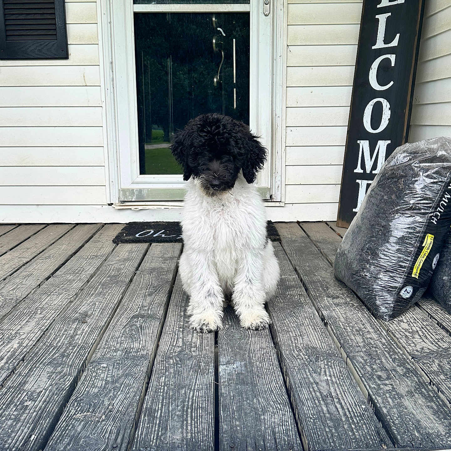 Sadie