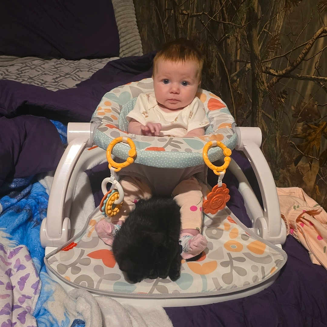 Annastasia joined the competition — help win amazing prizes! animal, baby, baby_seat, bed, black_cat, blanket, child, colorful, comfort, cute, fabric, furniture, home, indoor, infant, kitten, person, sleeping, toy, young_child