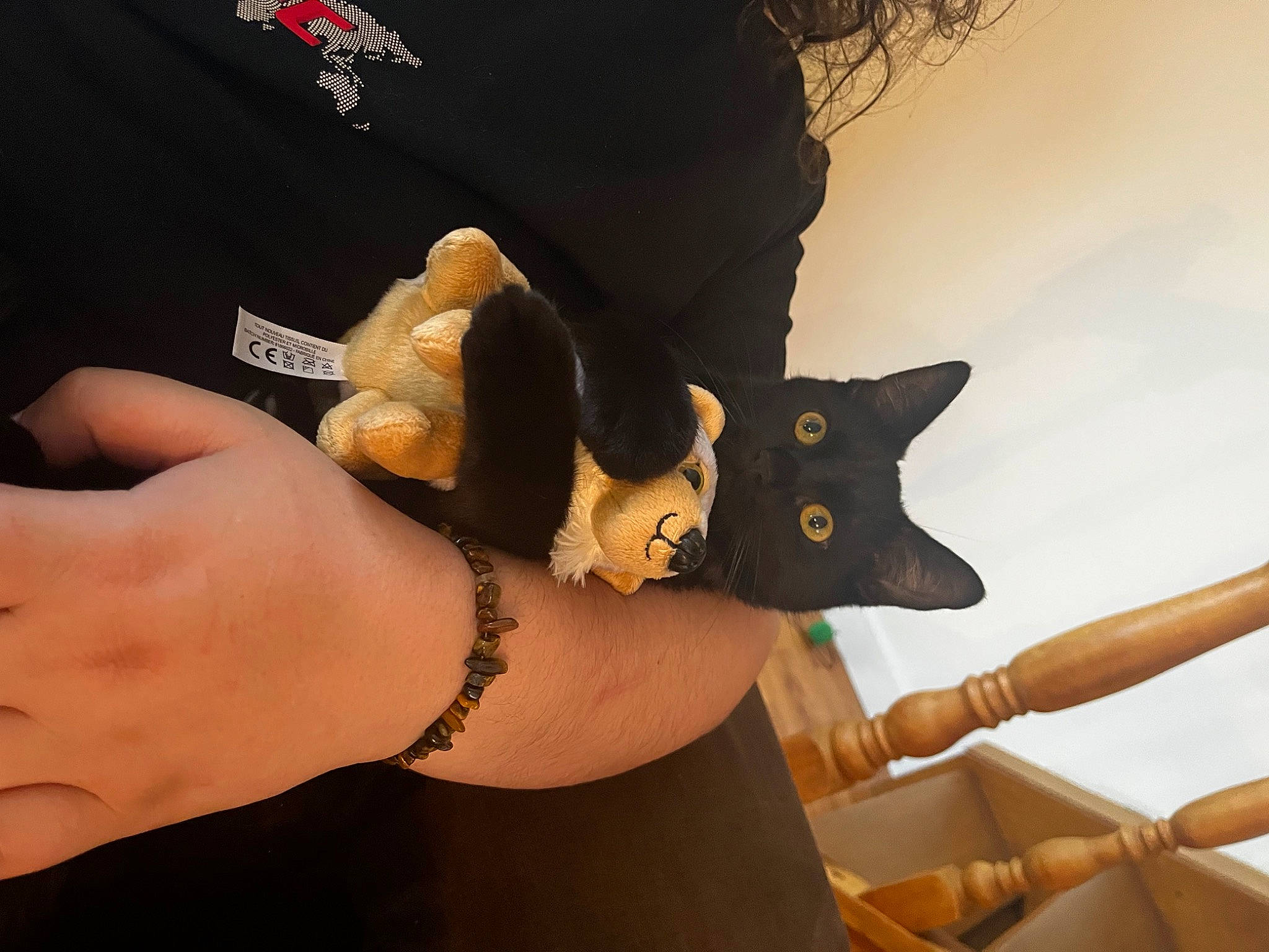 Arès a rejoint le concours — aidez-le/la à gagner de superbes lots ! abdomen, chest, elbow, fashion_accessory, felidae, finger, gesture, glove, human_leg, jewellery, nail, sleeve, small_to_medium_sized_cats, sunglasses, temporary_tattoo, thumb, tree, trunk, waist, wrist