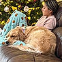 Rosie is registered to the contest to win money with this photo: blanket, calm, christmas_lights, christmas_tree, couch, cozy, decorations, dog, festive, golden_retriever, holiday, home, indoor, leather_couch, ornaments, person, relaxing, resting, sleeping_dog, warm_lighting