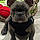 Myloo