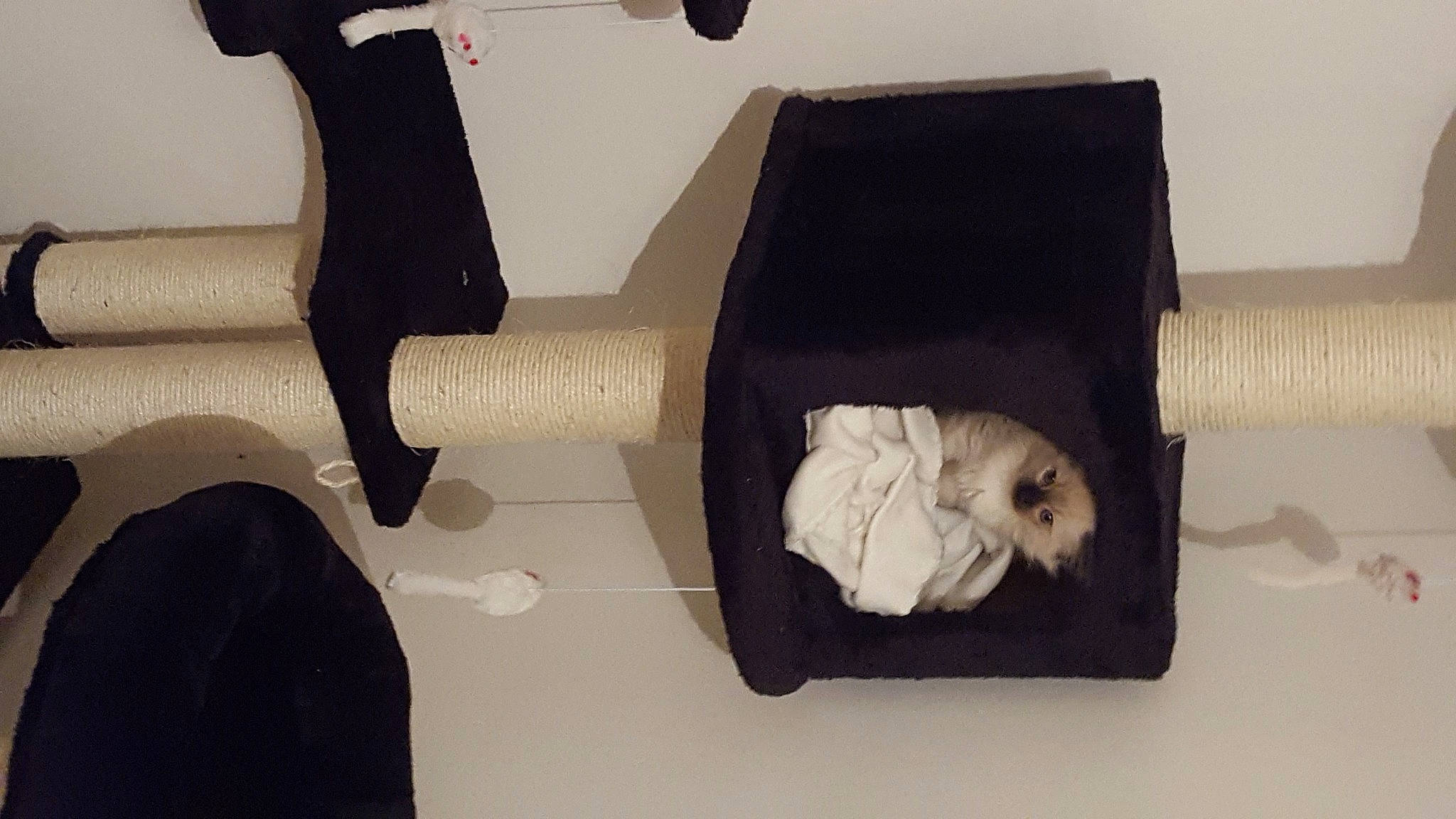 Moon participe au concours pour gagner de l'argent avec cette photo : armrest, auto_part, automotive_design, automotive_exterior, automotive_tire, carmine, chair, comfort, elbow, flooring, font, human_leg, paper, paper_product, product, room, tire, wheel, wood, wrist