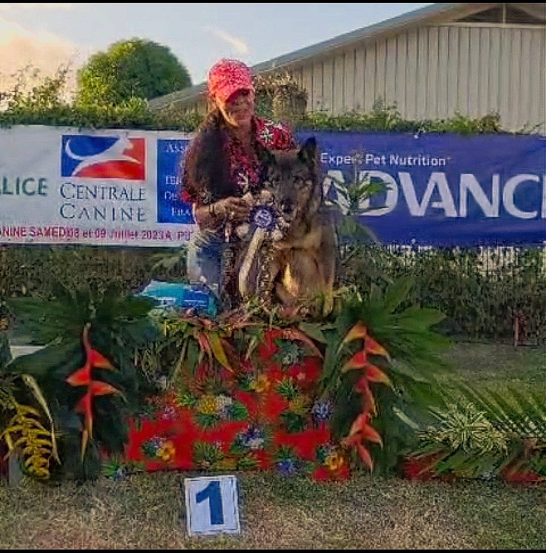 Ivory a rejoint le concours — aidez-le/la à gagner de superbes lots ! adaptation, advertising, canidae, carnivore, dog, dog_breed, event, garden, grass, hat, landscape, plant, recreation, shrub, sky, soil, sporting_group, tourism, tree, working_animal