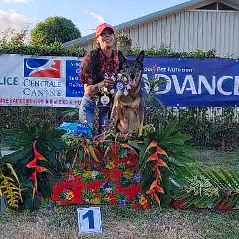Ivory participe au concours pour gagner de l'argent avec cette photo : advertising, art, carnivore, cloud, dog, event, floristry, flower, garden, grass, hat, lawn_ornament, plant, pole, recreation, shrub, sky, soil, tree, vertebrate