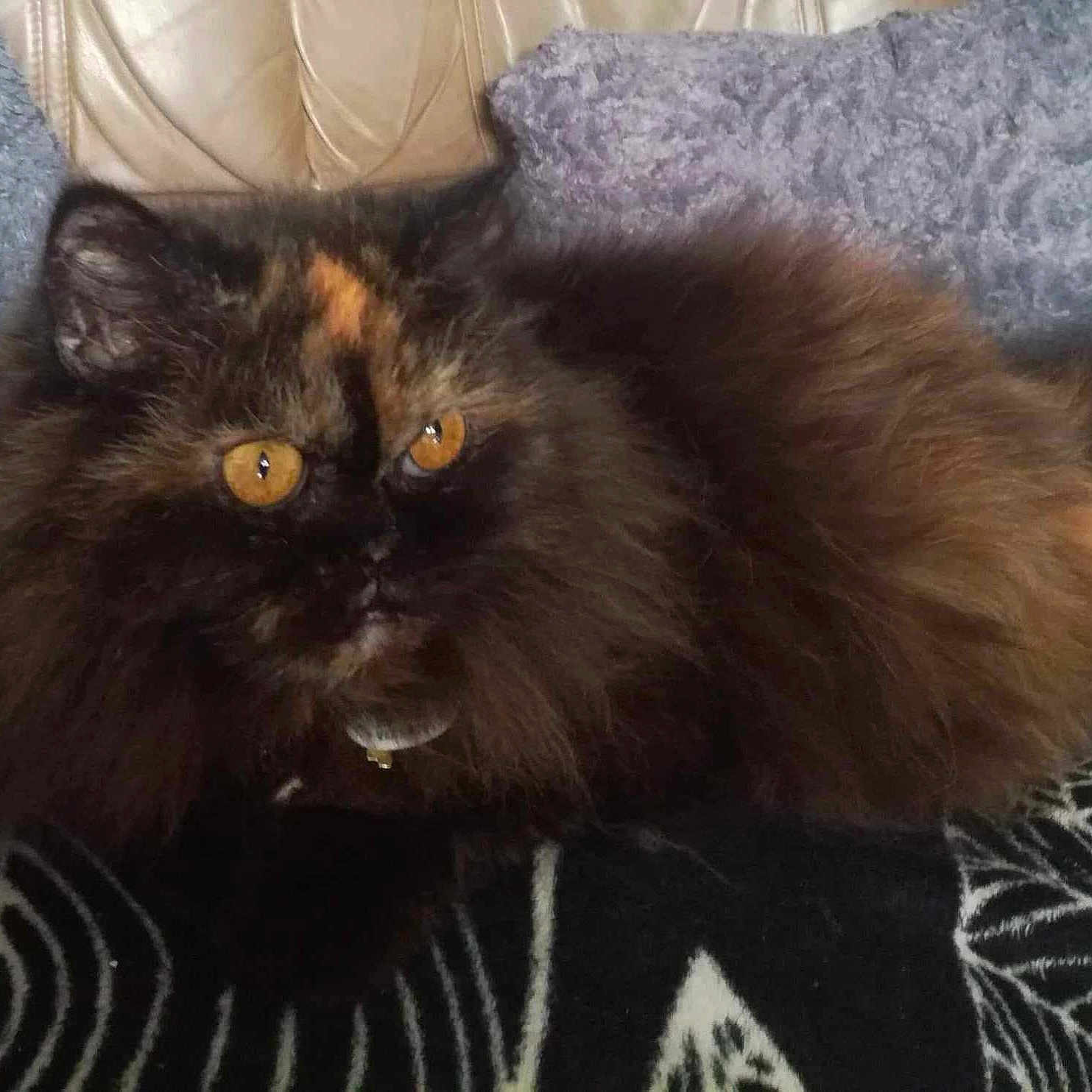 Princesse