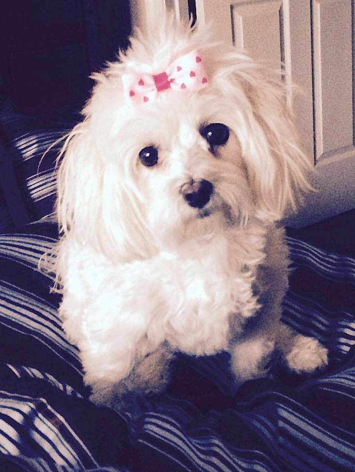 Pita joined the competition — help win amazing prizes!