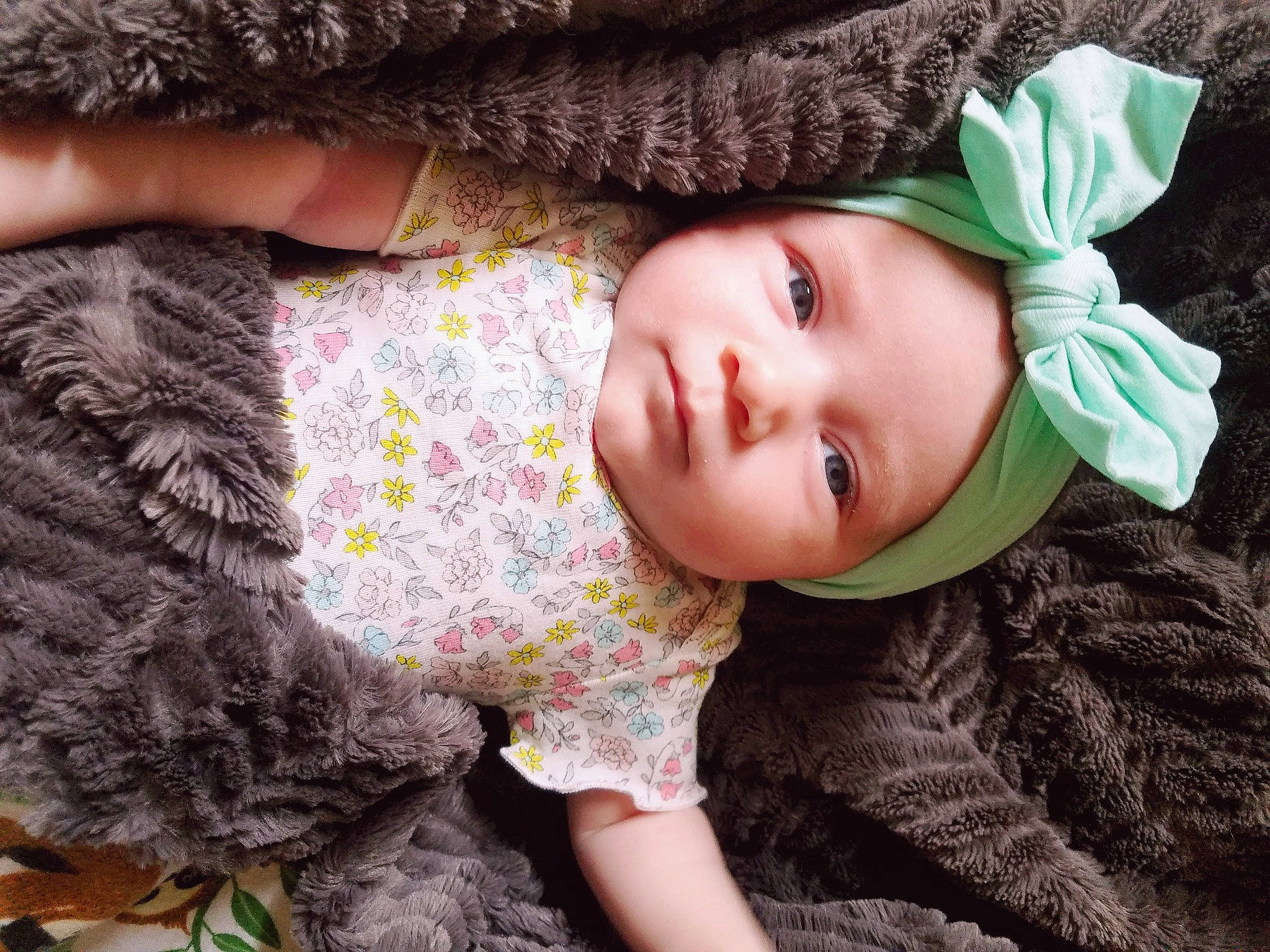 Tobee joined the competition — help win amazing prizes! black_hair, brown_hair, cap, child, dress, grass, green, hair, happy, headgear, headwear, lip, person, pink, plant, skin, sleeve, sun_hat, textile, toddler