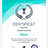 Rexie participe au concours pour gagner de l'argent avec cette photo : advertising, art, brand, circle, electric_blue, font, graphics, logo, natural_material, science