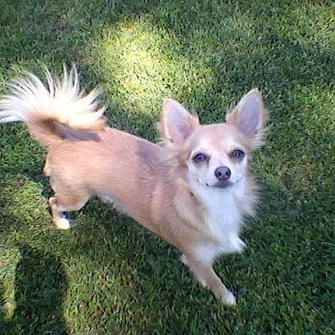 Lulabelle