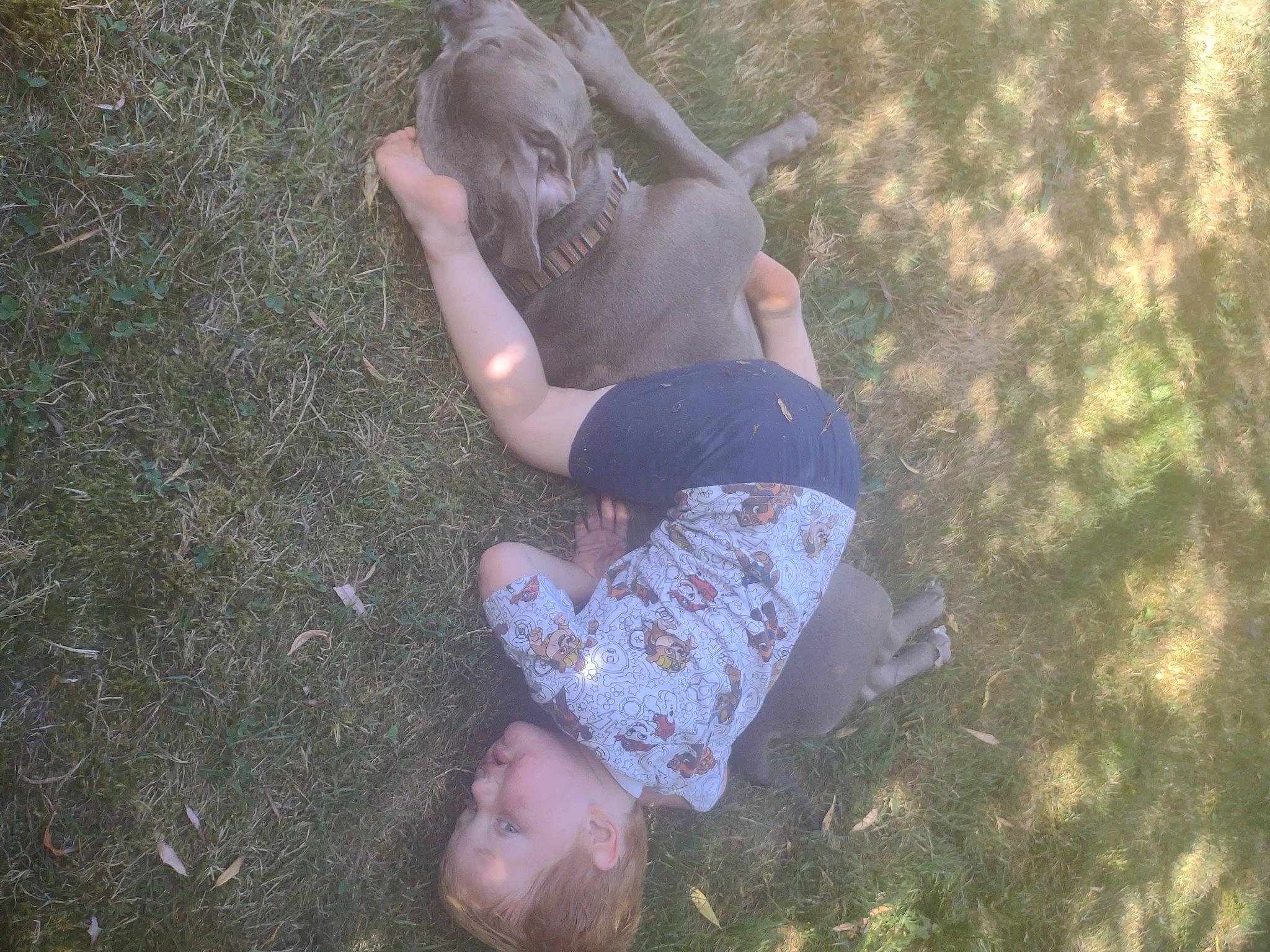 Asher joined the competition — help win amazing prizes! barefoot, child, foot, fun, gesture, grass, happy, human_leg, knee, landscape, leaf, leisure, people_in_nature, person, plant, recreation, shadow, soil, thigh, tints_and_shades