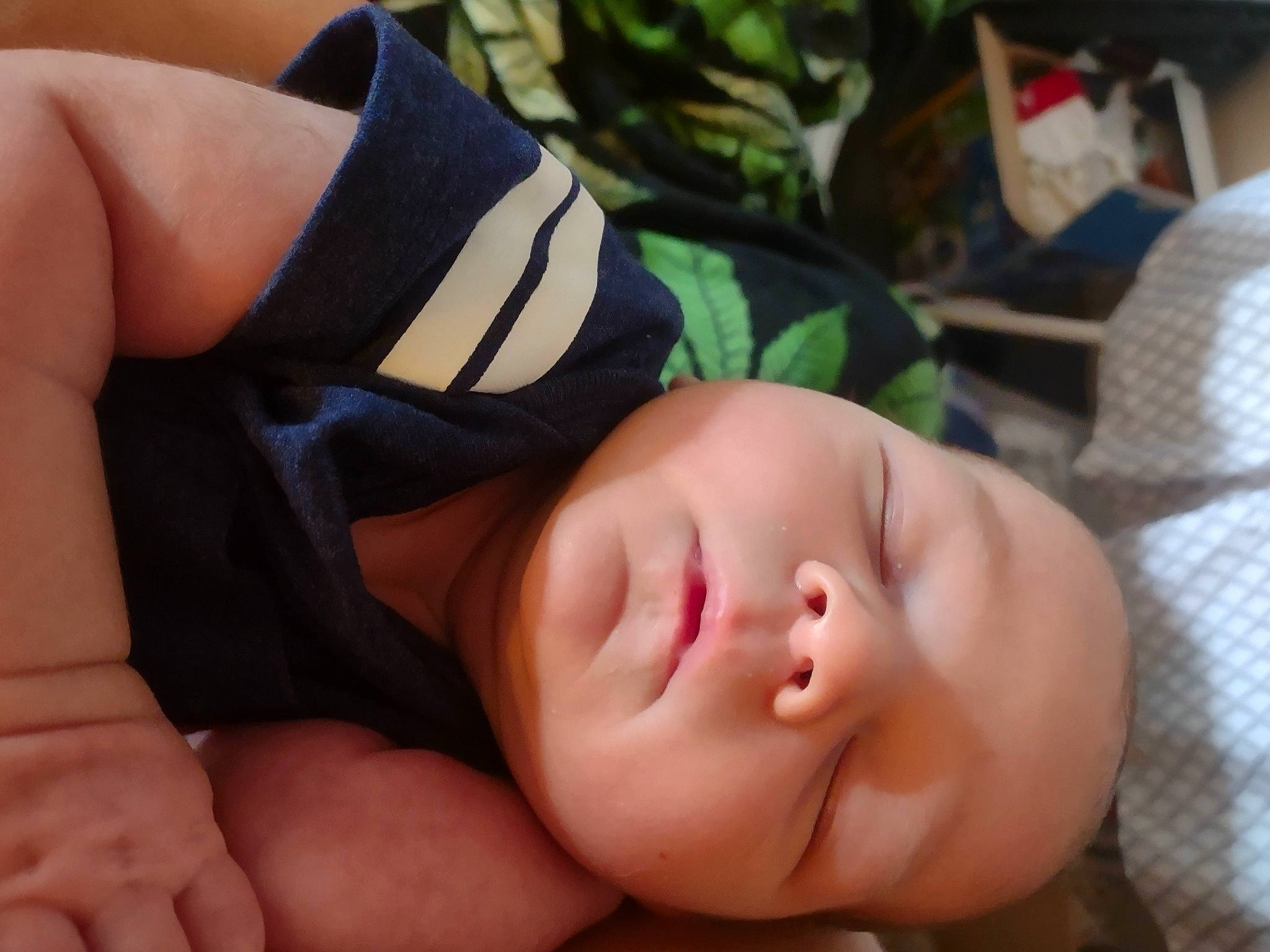 Gunnar is registered to the contest to win money with this photo: arm, baby, baby_sleeping, baby_toddler_clothing, cheek, child, comfort, eye, eyelash, finger, gesture, grass, hand, happy, mouth, nose, person, skin, thigh, thumb