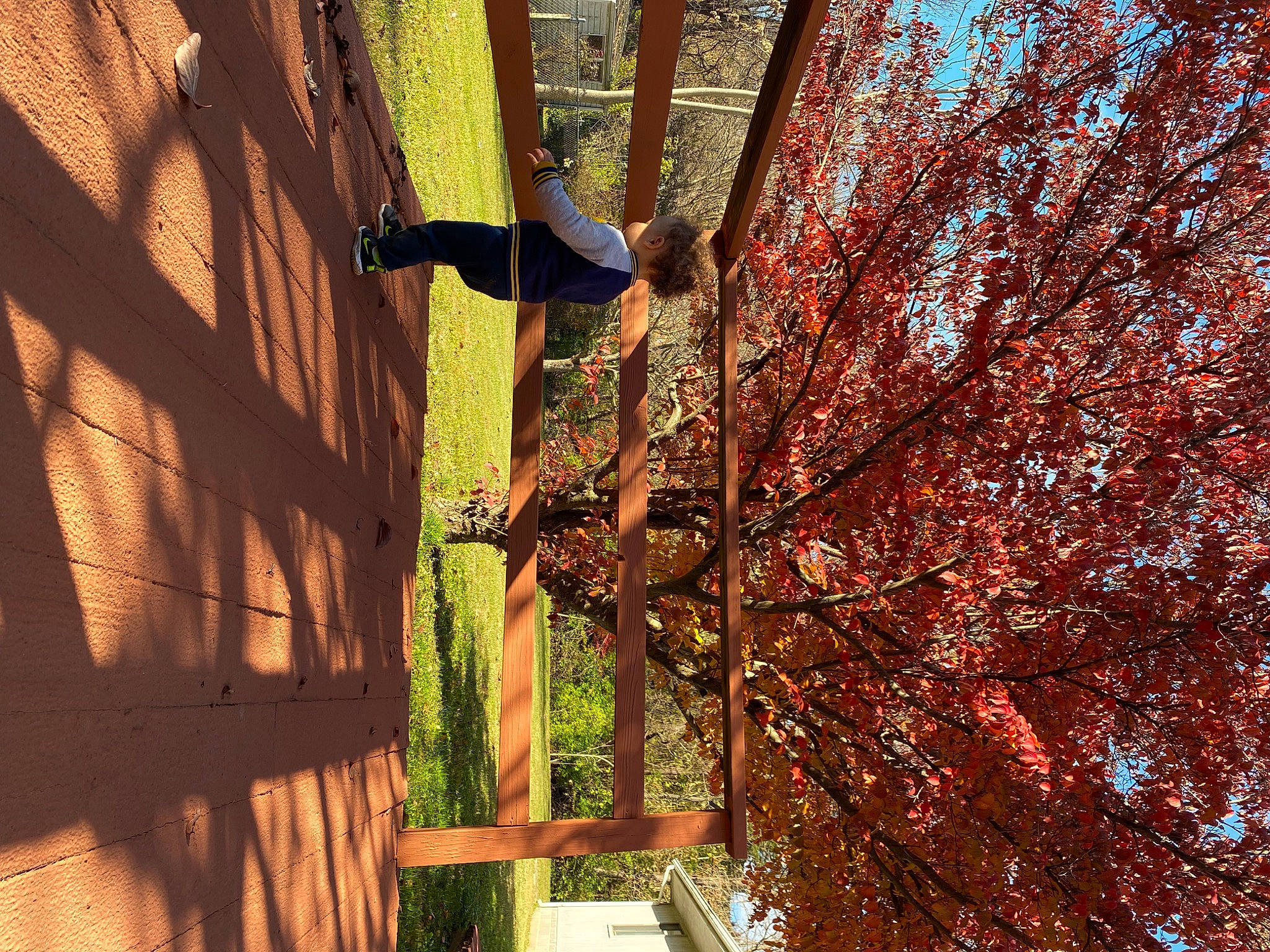 Franklin joined the competition — help win amazing prizes! biome, branch, building, deciduous, facade, grass, leaf, morning, orange, person, plant, shade, spring, sunlight, tints_and_shades, tree, trunk, twig, window, wood