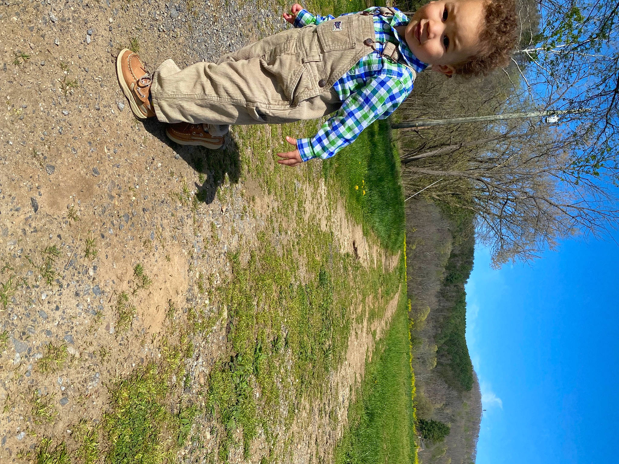 Franklin joined the competition — help win amazing prizes! fun, grass, grass_family, happy, landscape, leisure, nature, people_in_nature, person, plant, recreation, reflection, shadow, sitting, sky, soil, sunlight, toddler, tree, trunk