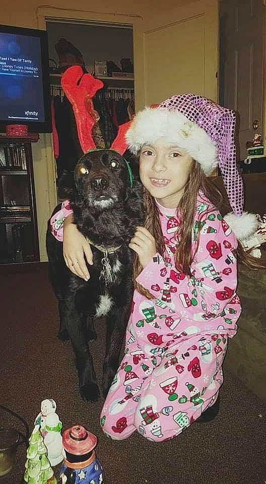 Bucky joined the competition — help win amazing prizes! canidae, companion_dog, costume, display_device, dog, dog_breed, dog_clothes, dog_supply, event, fashion_design, fun, fur, guard_dog, holiday, magenta, pink, purple, sporting_group, television, toddler