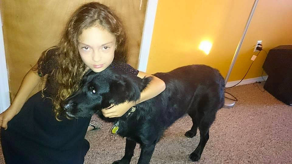 Bucky is registered to the contest to win money with this photo: canidae, carnivore, companion_dog, dog, dog_breed, fawn, flash_photography, flooring, formal_wear, fun, fur, guard_dog, happy, human_leg, iris, mammal, non_sporting_group, sitting, sporting_group, working_animal