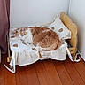 animal, bed, cat, cozy, cushion, cute, feline, fur, home, indoor, minimalist, orange_cat, peaceful, pet, pillows, quiet, resting, sleeping, white_cat, wooden_floor